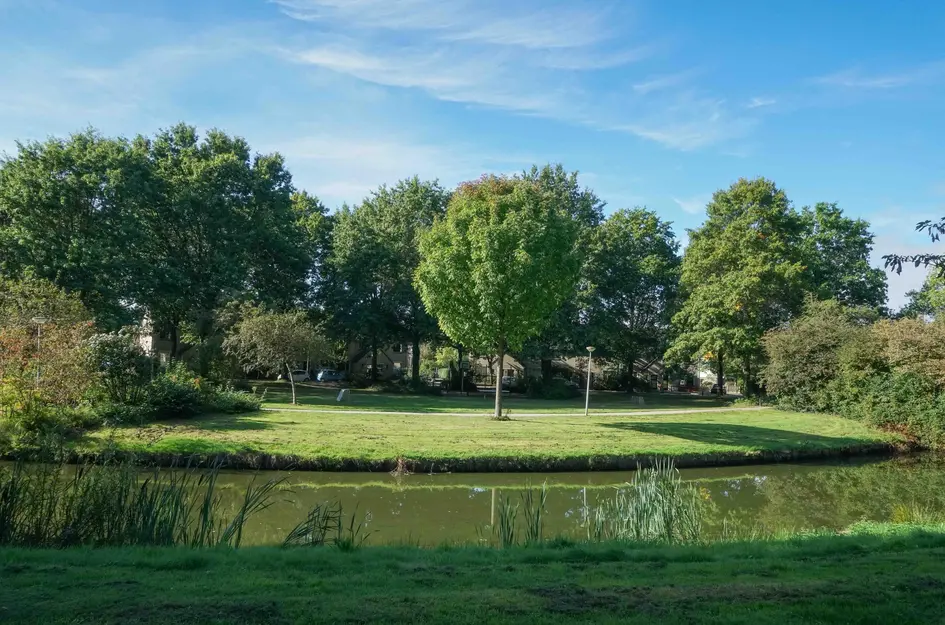 Houtsnijderpad 12