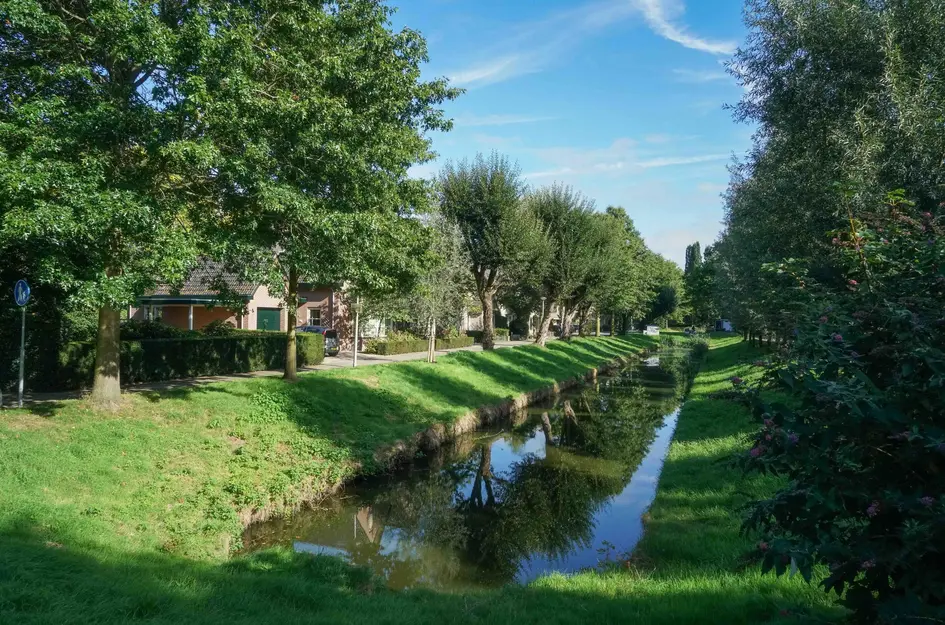Houtsnijderpad 12