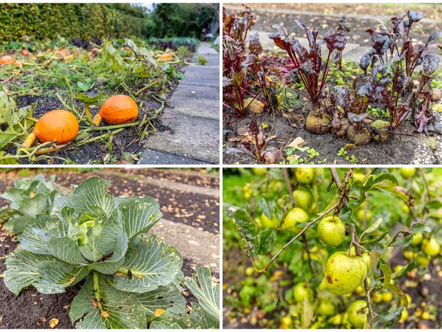 Foto van Hoogeinde 12