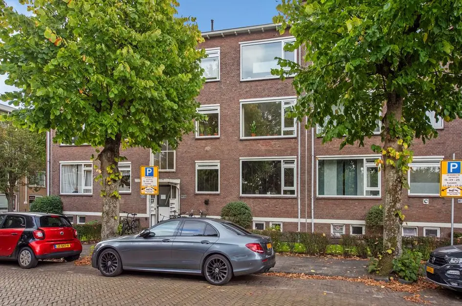 Tulpstraat 48