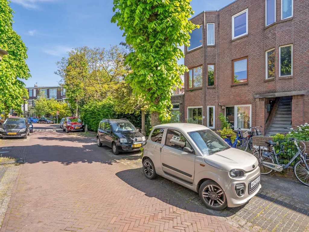 Ieplaan 81, RIJSWIJK