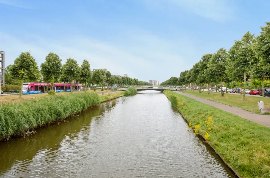 Zilvermeeuwlaan 