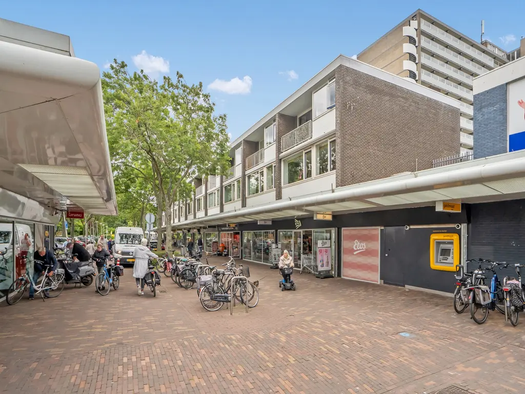 Alphons Diepenbrockhof 50, 'S-GRAVENHAGE