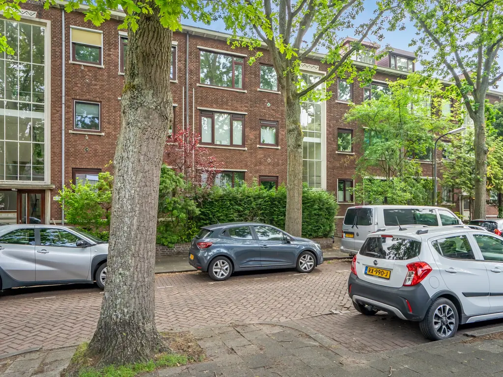 Daniël Catterwijckstraat 17, RIJSWIJK