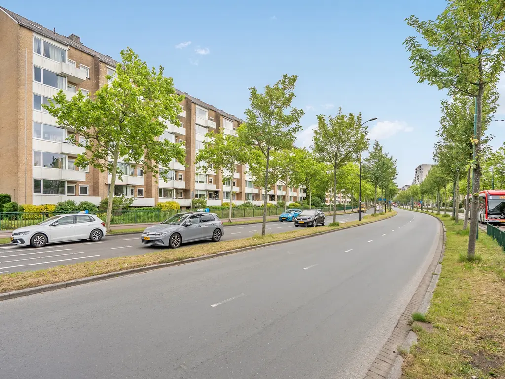 Buziaulaan 81, RIJSWIJK