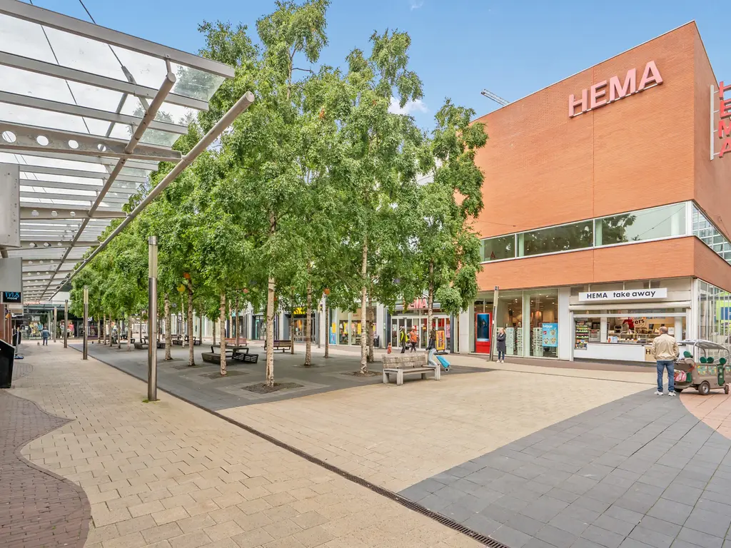 Buziaulaan 81, RIJSWIJK