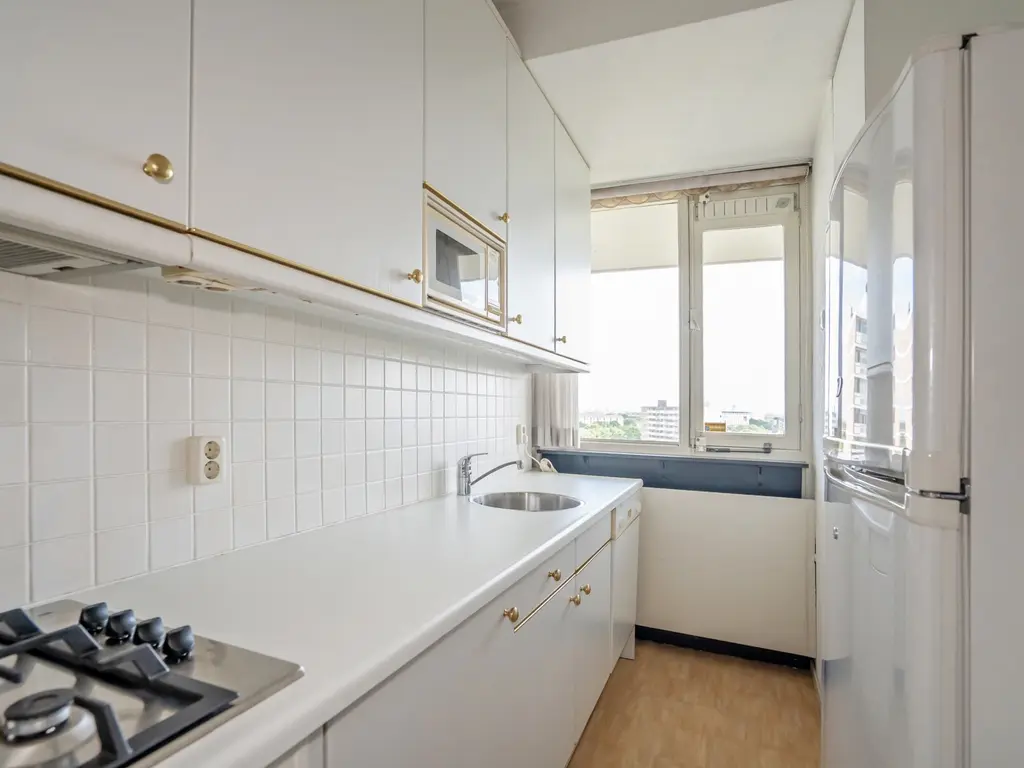 Ocarinalaan 688, RIJSWIJK