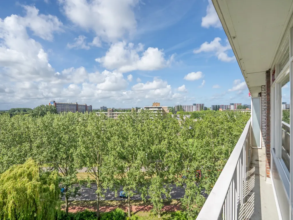 Ocarinalaan 688, RIJSWIJK