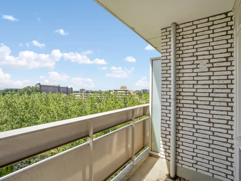 Ocarinalaan 688, RIJSWIJK