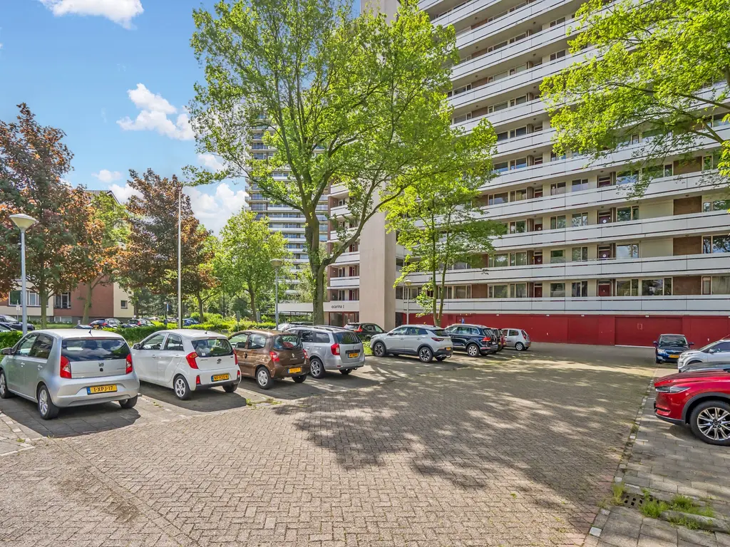 Ocarinalaan 688, RIJSWIJK