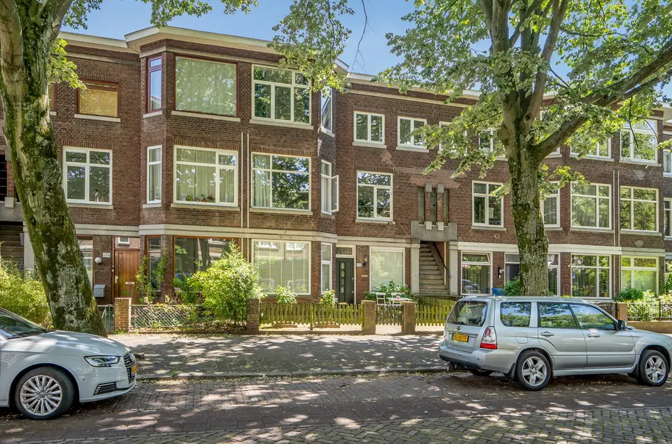 Caan van Necklaan 300