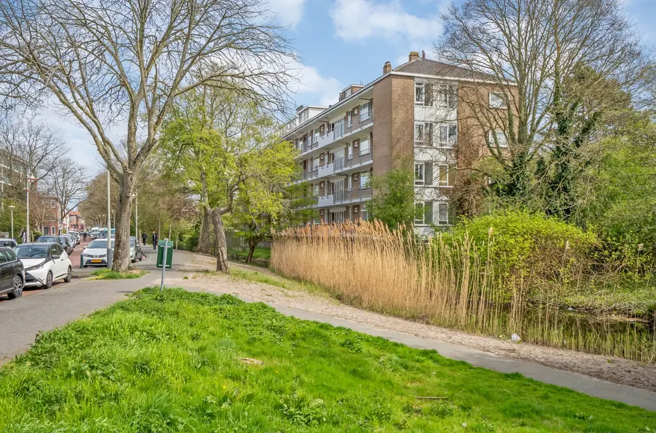 Tulpstraat 7f