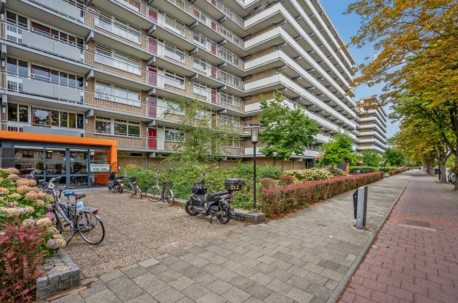 Steenvoordelaan 248