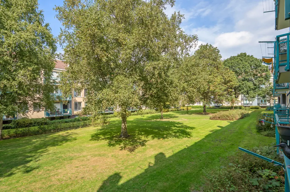 Citerstraat 42