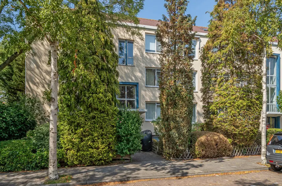 Citerstraat 42