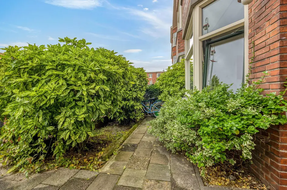Damasstraat 28