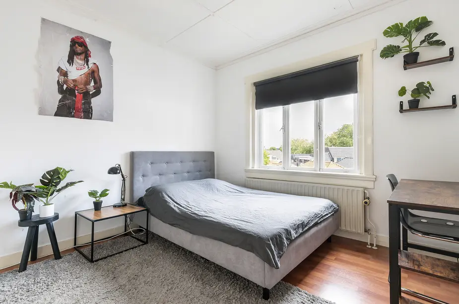Johan de Wittstraat 14, DORDRECHT (foto 27)