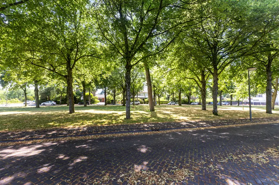 Wantijplantsoen 7, DORDRECHT (foto 47)