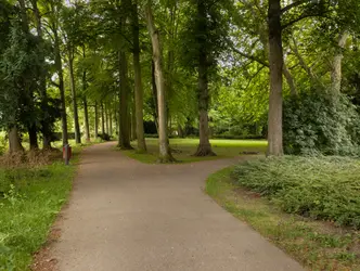 Cederlaan 35, DORDRECHT (foto 39)