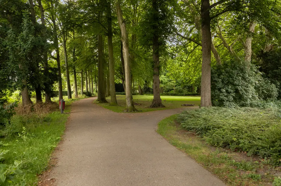 Cederlaan 35, DORDRECHT (foto 39)