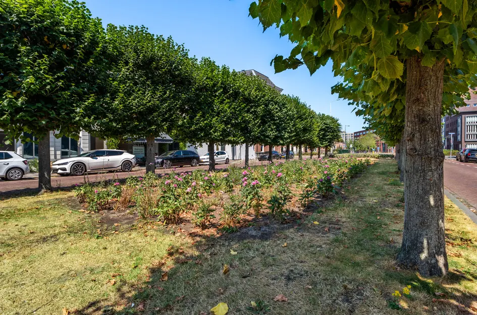 Mauritsstraat 24