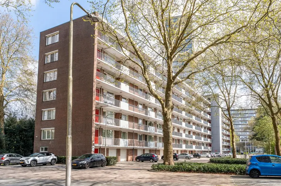 Cederstraat 119