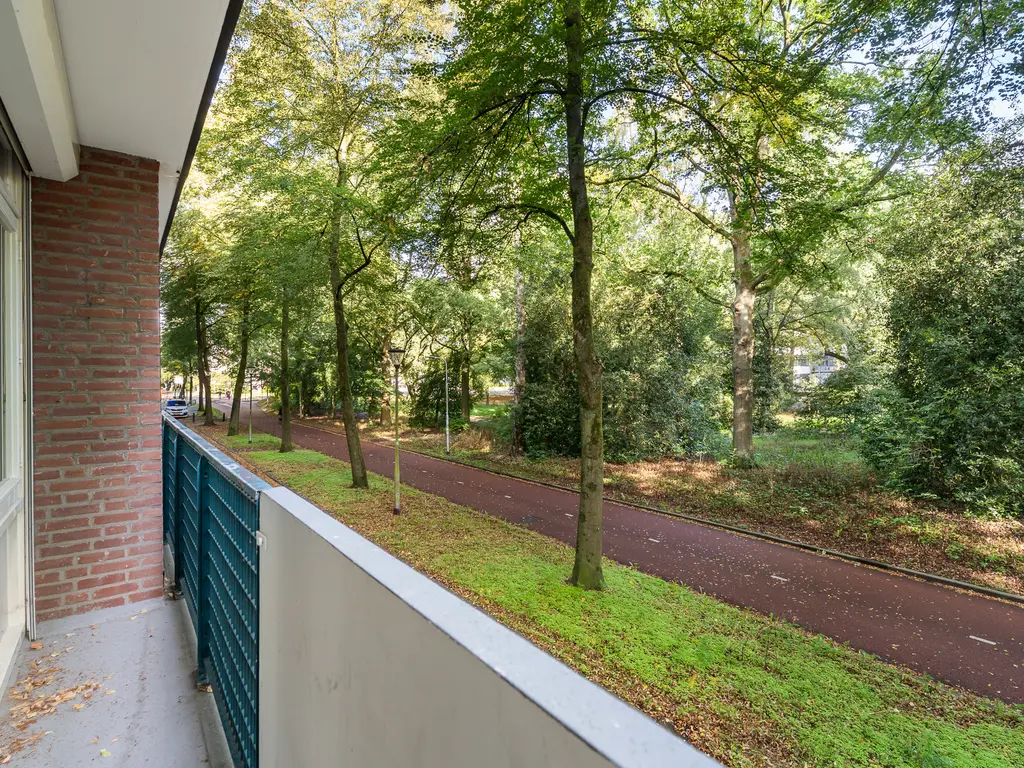 Professor Cobbenhagenlaan 424, TILBURG