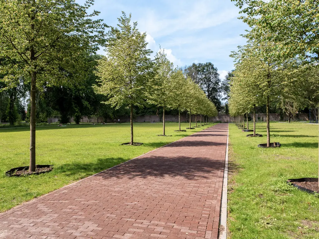 Oude Dijk 37, TILBURG