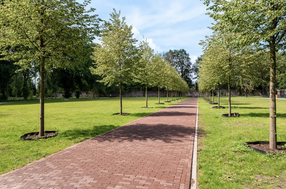Oude Dijk 37