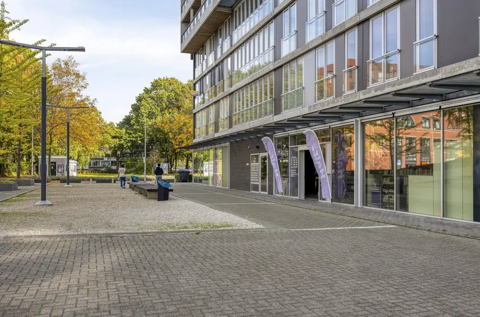 Professor de Moorplein 475