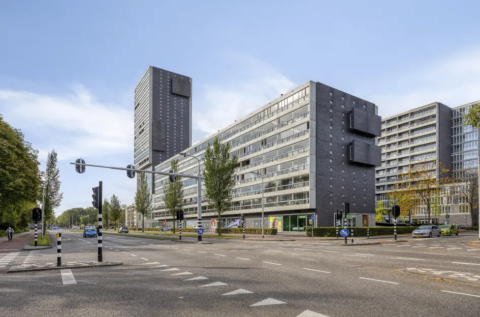 Professor de Moorplein 475