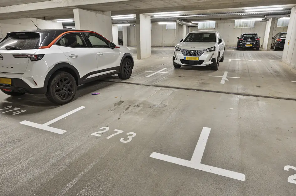 Professor de Moorplein 475