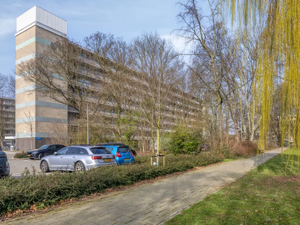 Everaertstraat 87, Rotterdam