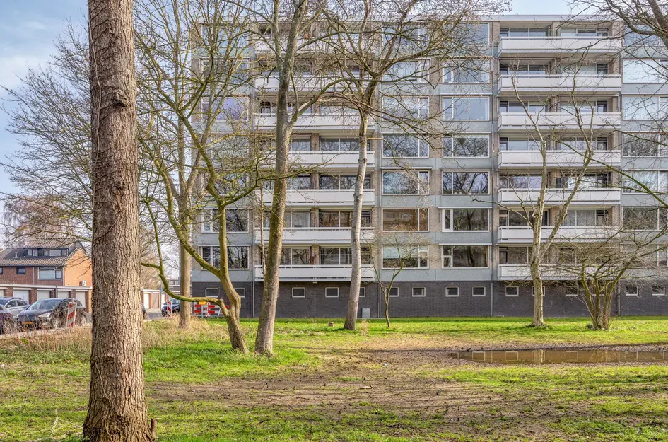 Everaertstraat 87