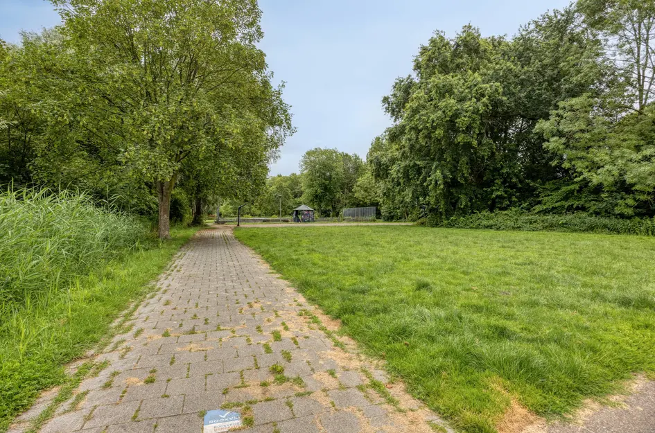 Lentebloem 31