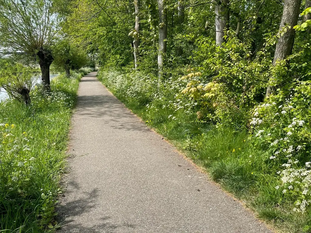 Lentebloem 31, Rotterdam