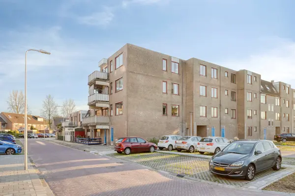 Ringspoor 142