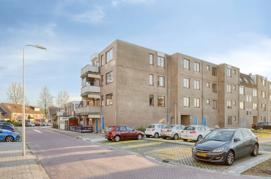 Ringspoor 142