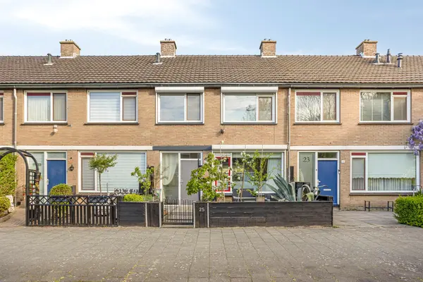 Heidekruid 25