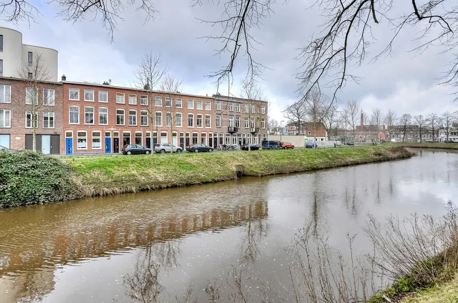 Nassausingel 23
