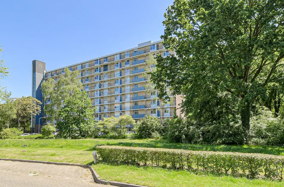 Boerhaavelaan 175