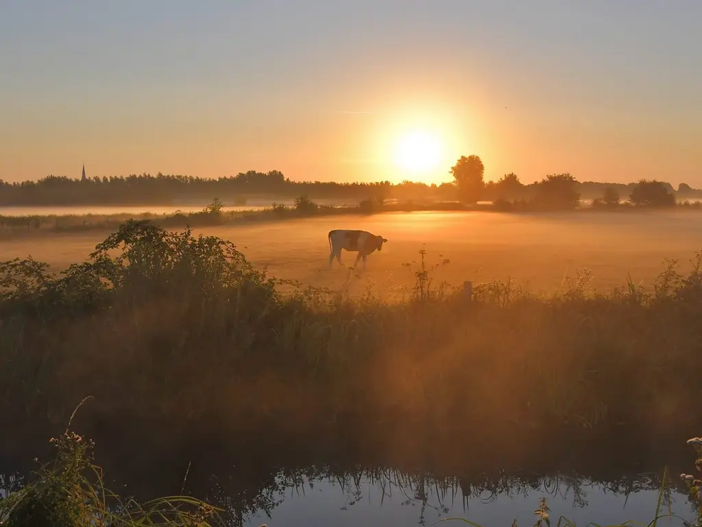 Laag Zand 17, BREDA