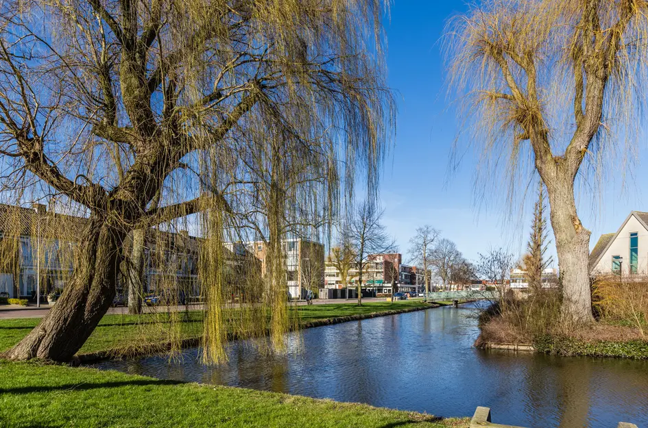 Dronensingel 97