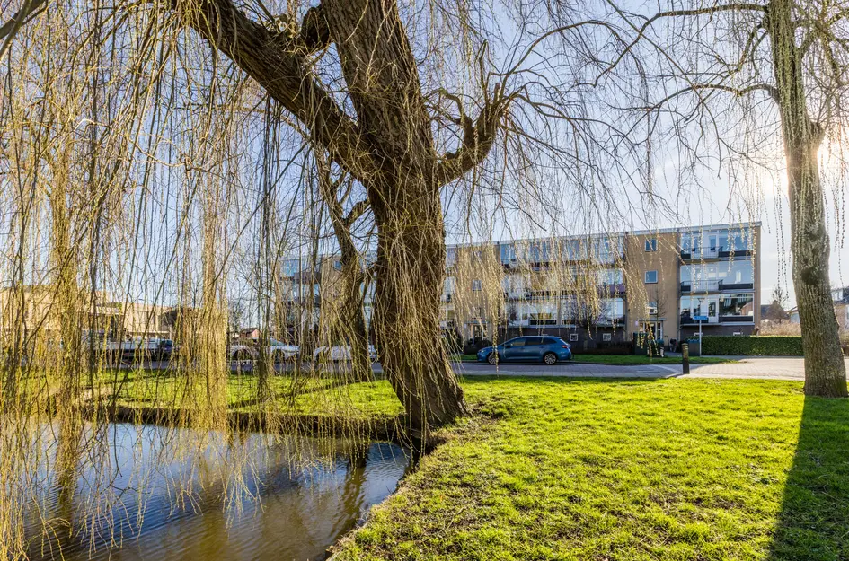 Dronensingel 97