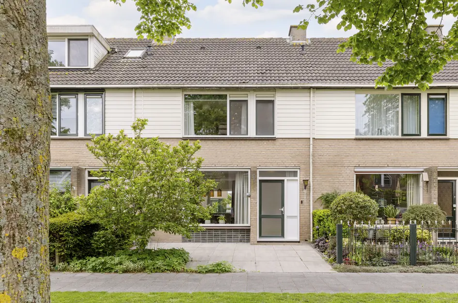 Goudplevier 17