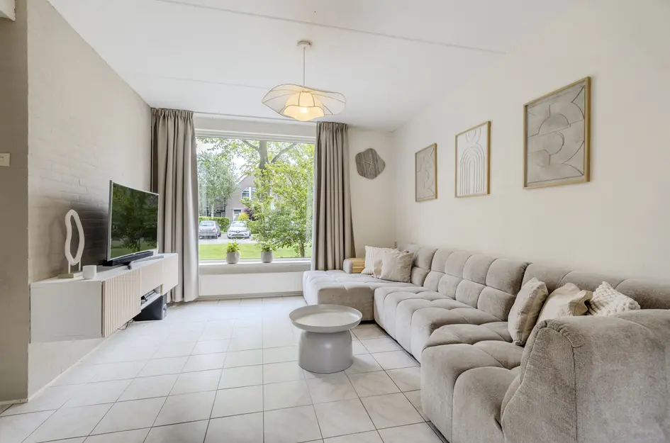 Goudplevier 17