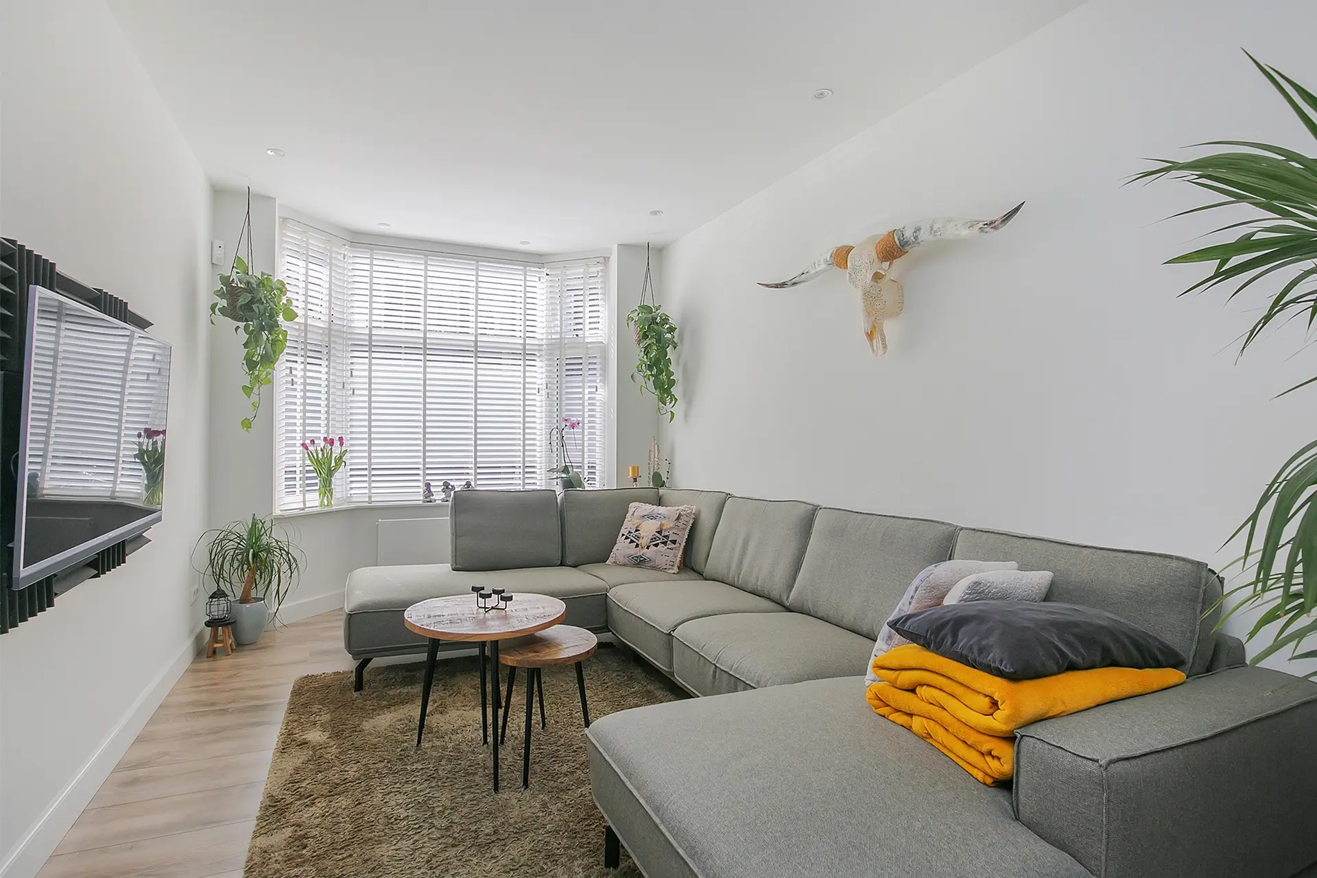 Groen Van Prinstererstraat 23, foto 5