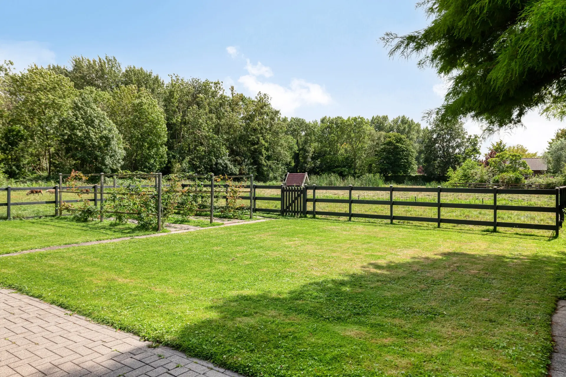 's-Gravenweg 147, foto 44