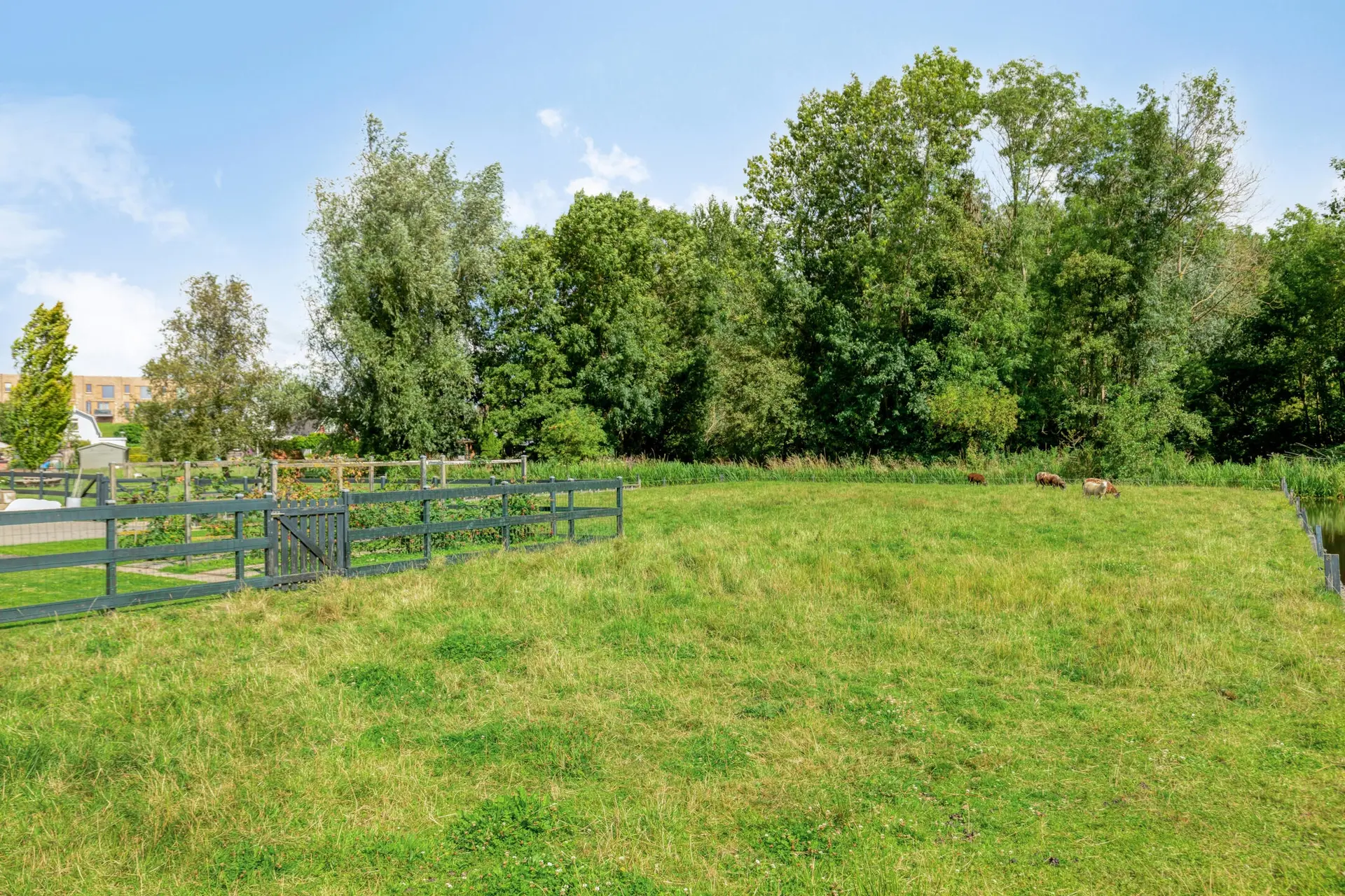 's-Gravenweg 147, foto 6