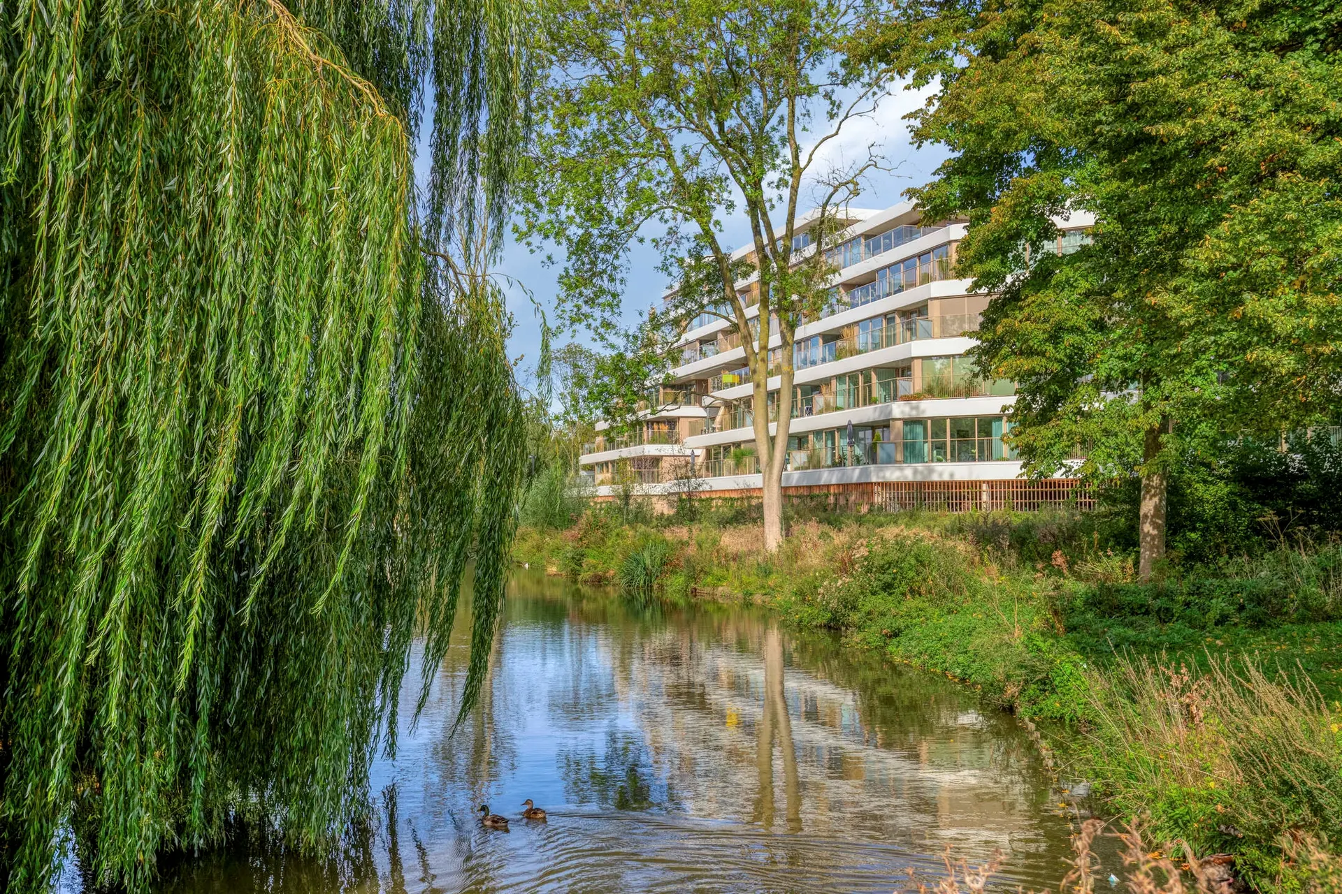 Nancy Zeelenbergsingel 38, foto 51